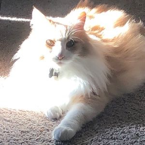 Meet your Posher, Ashlyn